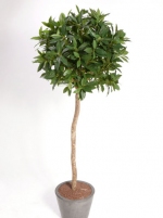 Kunstplant Laurierbol op stam 140cm